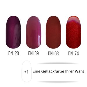 Gel Polish - Winterfarben 4+1 Packung